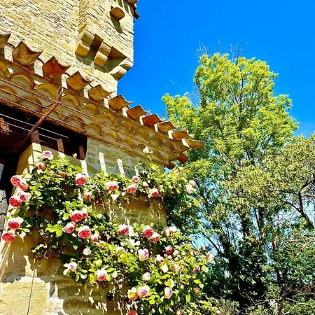 度假居 Chateau De Tournou *