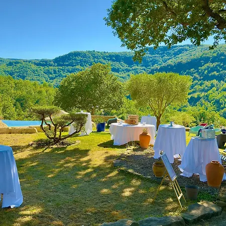 Chateau De Tournou *