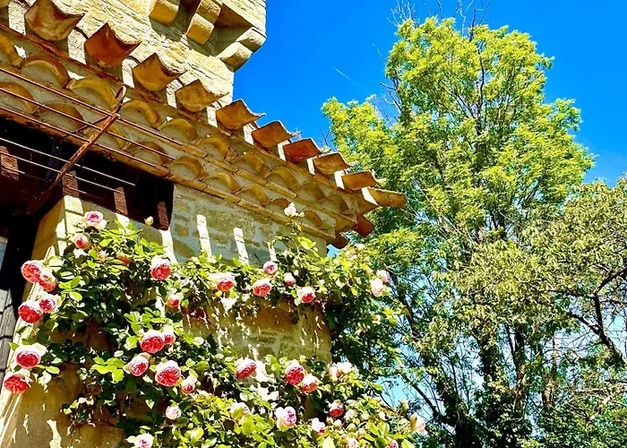 Vakantiehuis Chateau De Tournou *